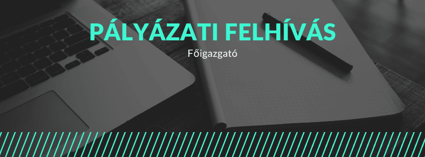 Pályázati felhívás - főigazgató
